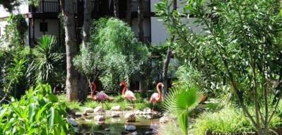 LETOONIA GOLF RESORT BELEK