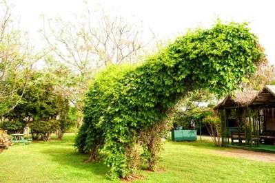BELCONTI RESORT HOTEL