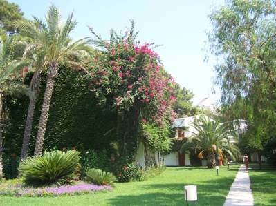 CLUB BORAN MARE BEACH