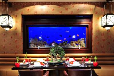 PALOMA FORESTA (EX. RENAISSANCE )RESORT & SPA